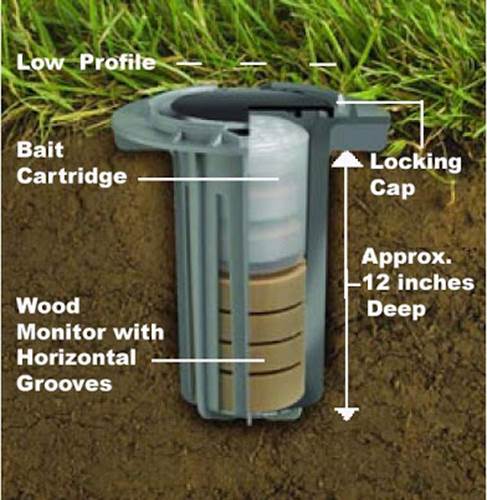 http://4.bp.blogspot.com/-H9Gh99eHapQ/UXMPtcbDWmI/AAAAAAAAAMU/RbmWdWr-x7U/s400/termite+bait+station.jpg