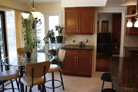 http://i733.photobucket.com/albums/ww331/laolee_2009/home/kitchen3.jpg