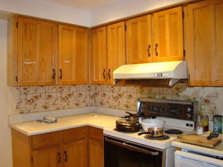 http://i733.photobucket.com/albums/ww331/laolee_2009/home/oldkitchen1.jpg