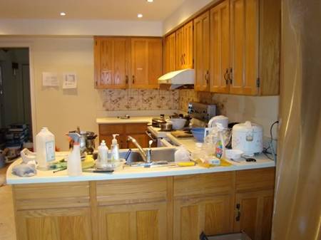 http://i733.photobucket.com/albums/ww331/laolee_2009/home/oldkitchen2.jpg