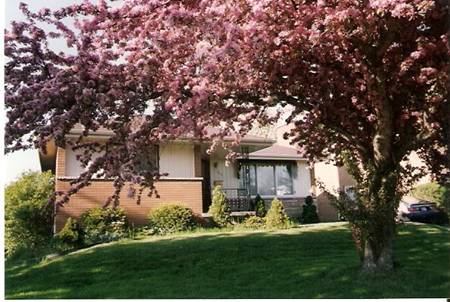 http://i733.photobucket.com/albums/ww331/laolee_2009/delmar/hpqscan0011.jpg